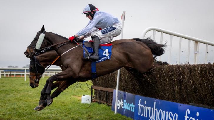 Leopardstown Tyre Kicker 